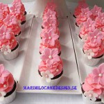 mini-cupcakes-24st