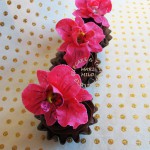orkidecupcakes1